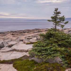 Acadia & The Maine Coast