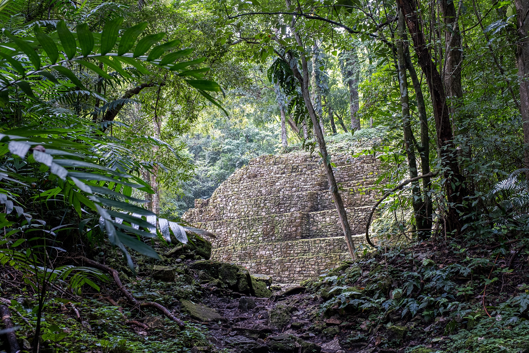 Indiana Jones Tour 2025 ColdSnap Photography