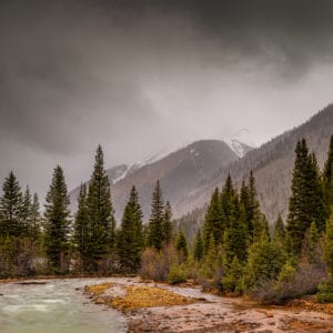 Mineral Creek