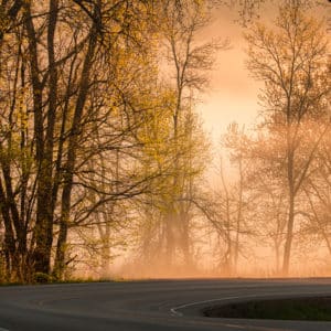 Spring In The Driftless 2026