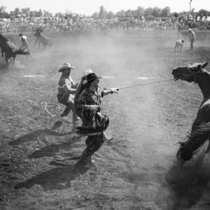 Wyoming Fairs & Rodeos